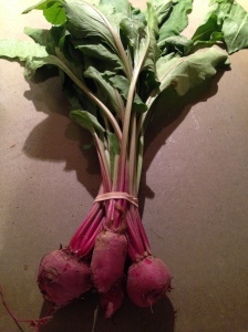 I admit, sometimes I have to text Derek pictures to ask what things are... These are beets!